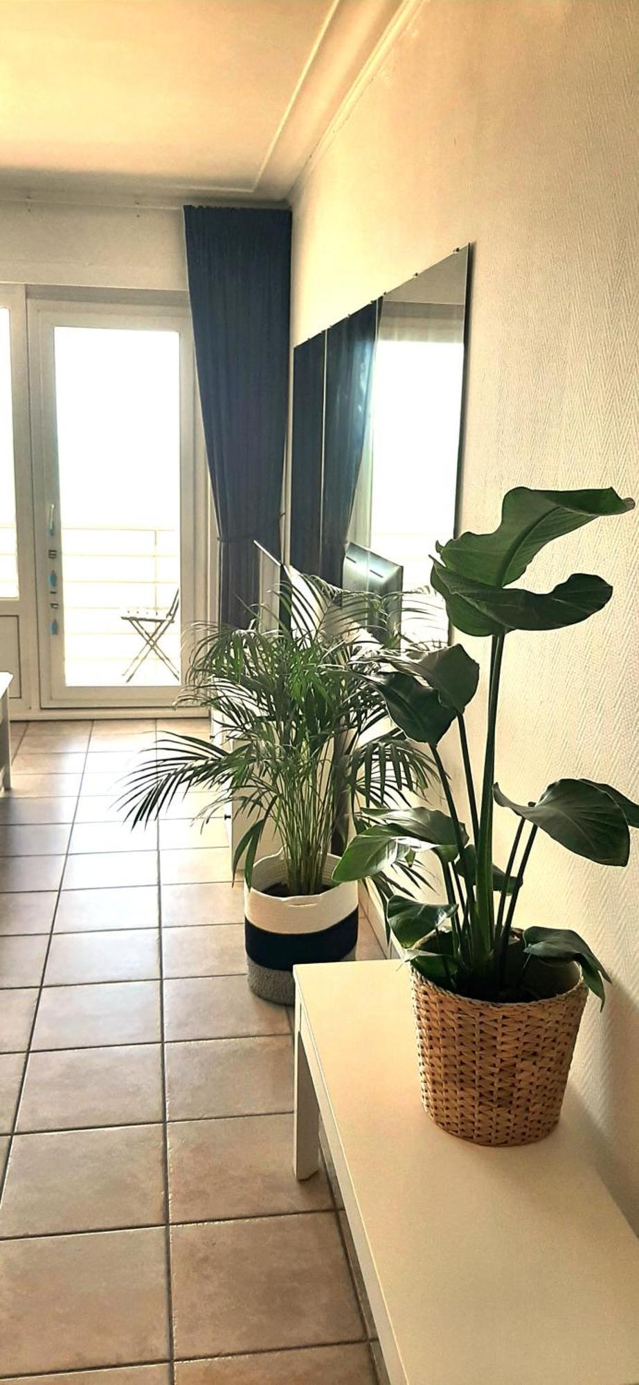 L'oo Apartment